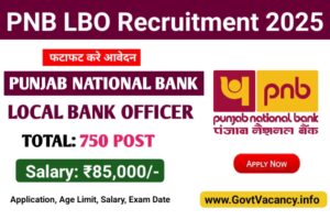 punjab national bank job, pnb punjab national bank recruitment, punjab national bank posts, punjab national bank recruitment, job vacancy in punjab national bank, pnb vacancies, punjab bank recruitment, punjab and national bank recruitment, pnb notification, punjab national bank notification pnb bank recruitment, punjab banking jobs, pnb job recruitment, punjab national bank vacancies, pnb job vacancy, punjab bank vacancy, punjab national bank recruitment apply online, pnb bank vacancies, punjab national recruitment, job in pnb, pnb bank posts,